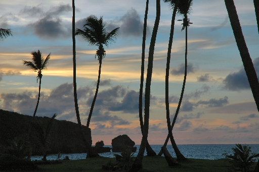 Sunset on the beach 